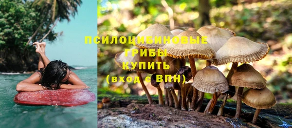 2c-b Богданович