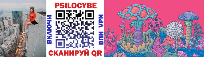 Галлюциногенные грибы прущие грибы  Болохово 